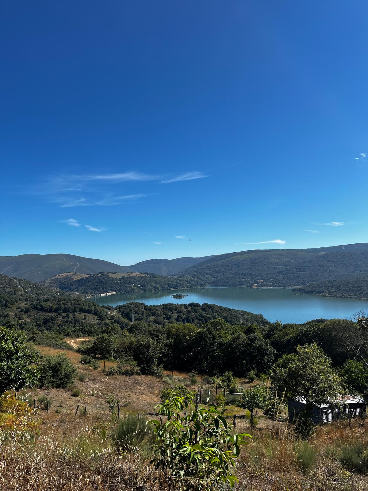 Territorio - Colmenas de altura