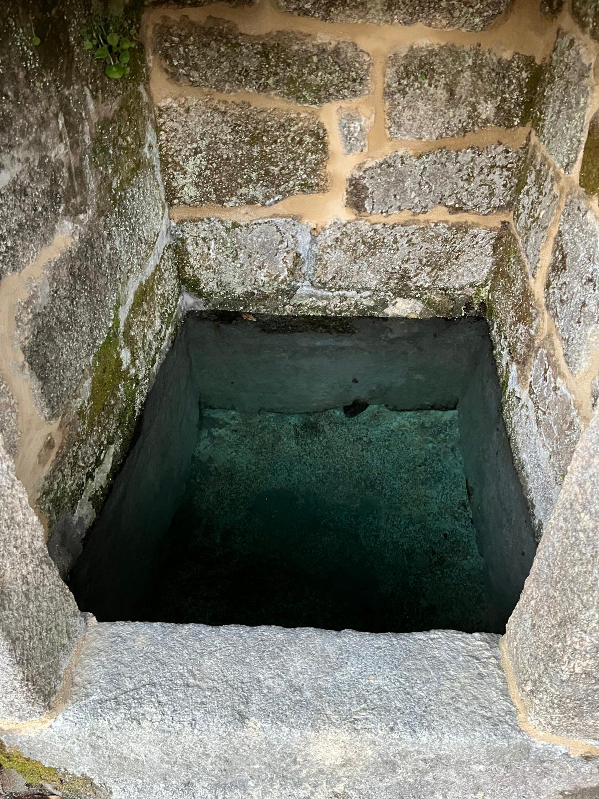 Proceso - Apicultura artesanal